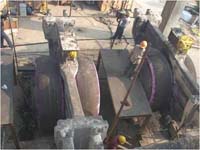 POLYSIUS������ĥ���߶Ѻ�